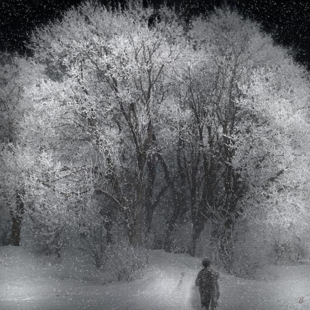 DANS LA TOURMENTE.jpg